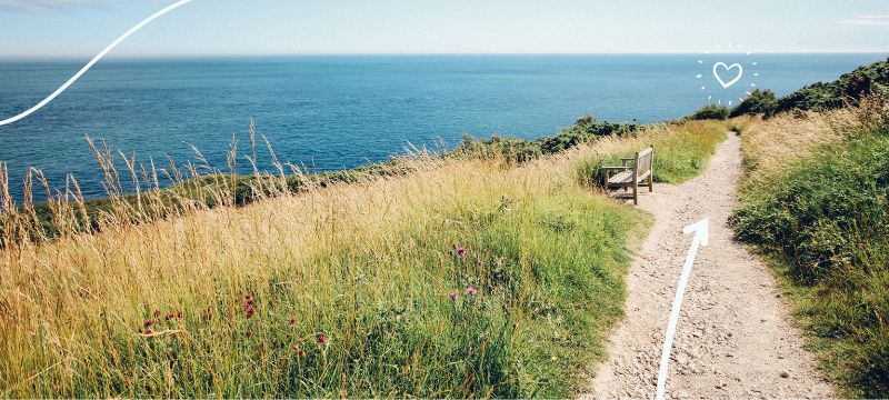 Dirt path through a grassy field overlooking the ocean with a park bench in the middle