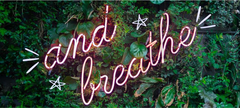 Pink neon sign of the words 'and breathe' over a wall of bright green leaves
